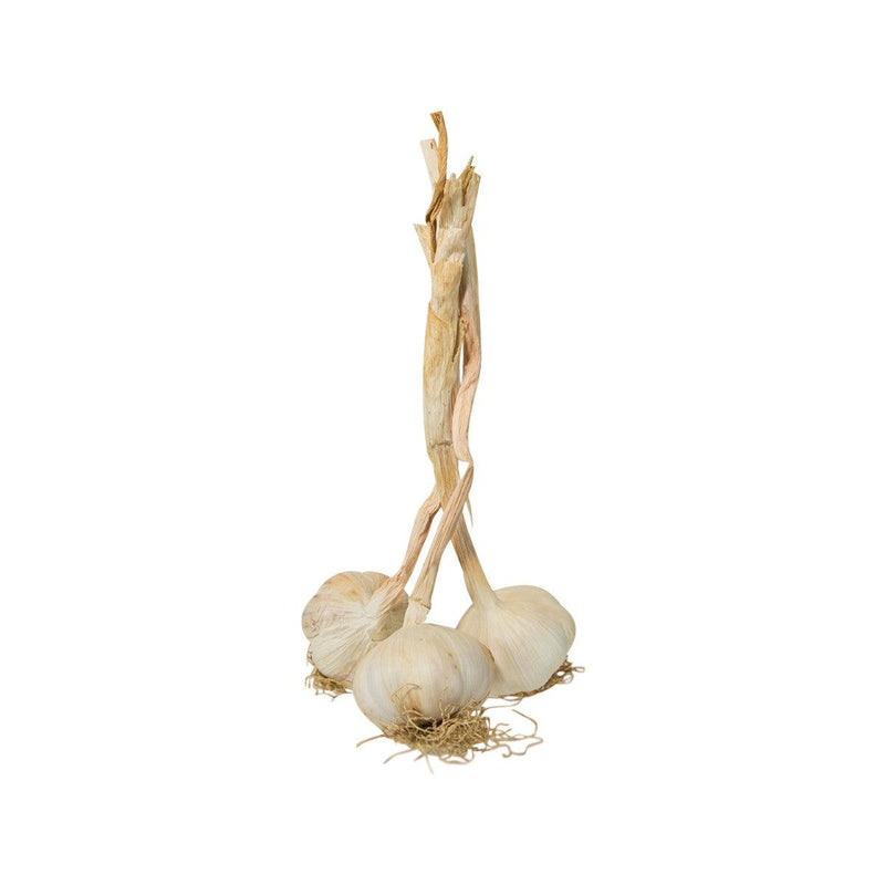 HK Vegetable Shop Selections - Fresh Garlic & Onion & Leek - Italy Fresh Garlic  (300g)