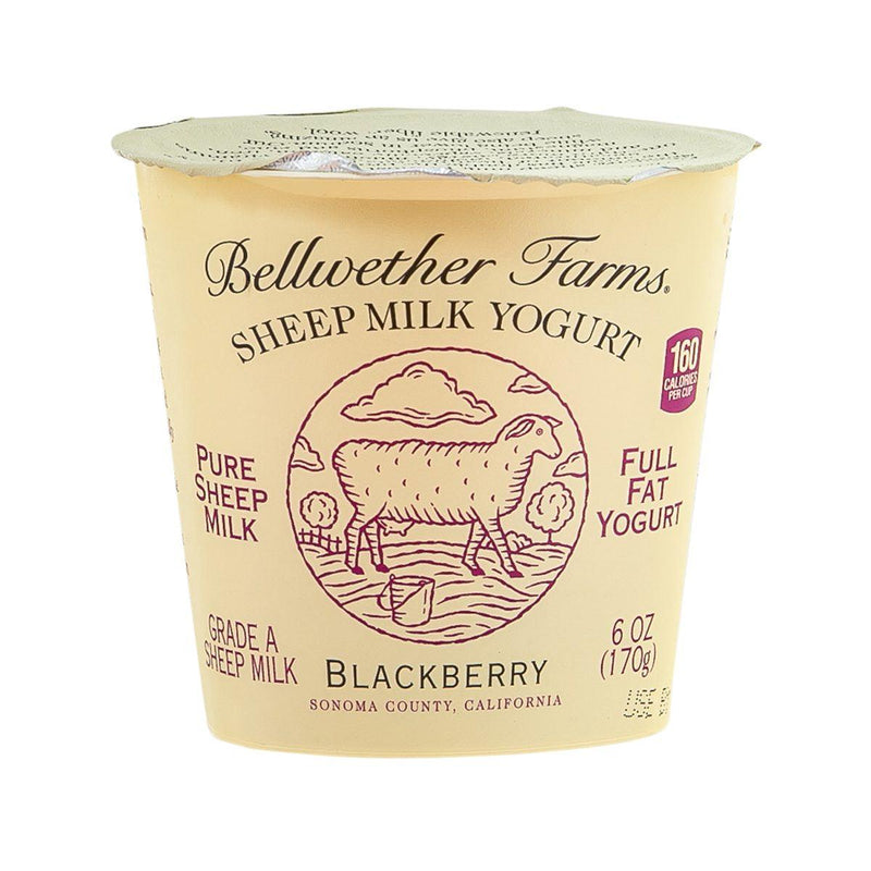 BELLWETHER FARM Sheep Milk Yogurt - Blackberry  (170g)