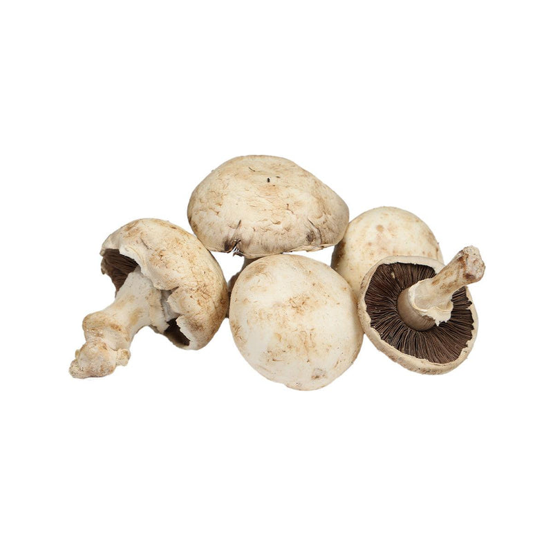 BRUNO CALEGARI French White Paris Mushroom with Whole Foot  (200g)