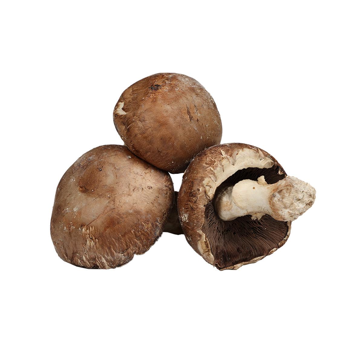 BRUNO CALEGARI French Pink Paris Mushroom with Whole Foot  (170g)