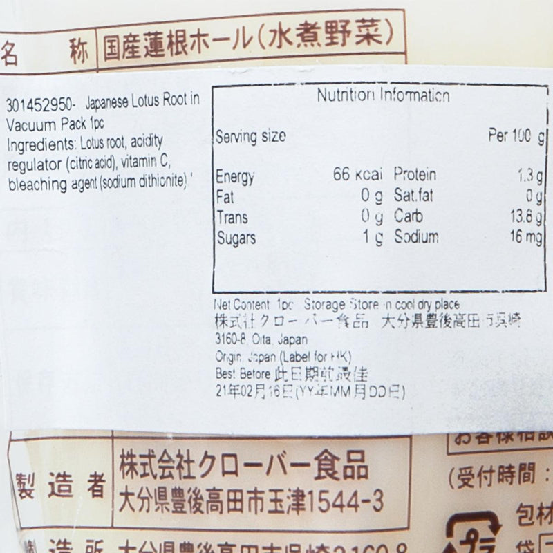 日本真空包裝蓮藕  (1pc)