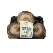Japanese Organic Shiitake Mushroom  (1pack)