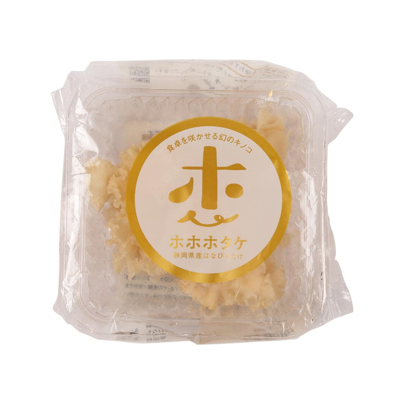 Japanese Cauliflower Fungus  (1pc)