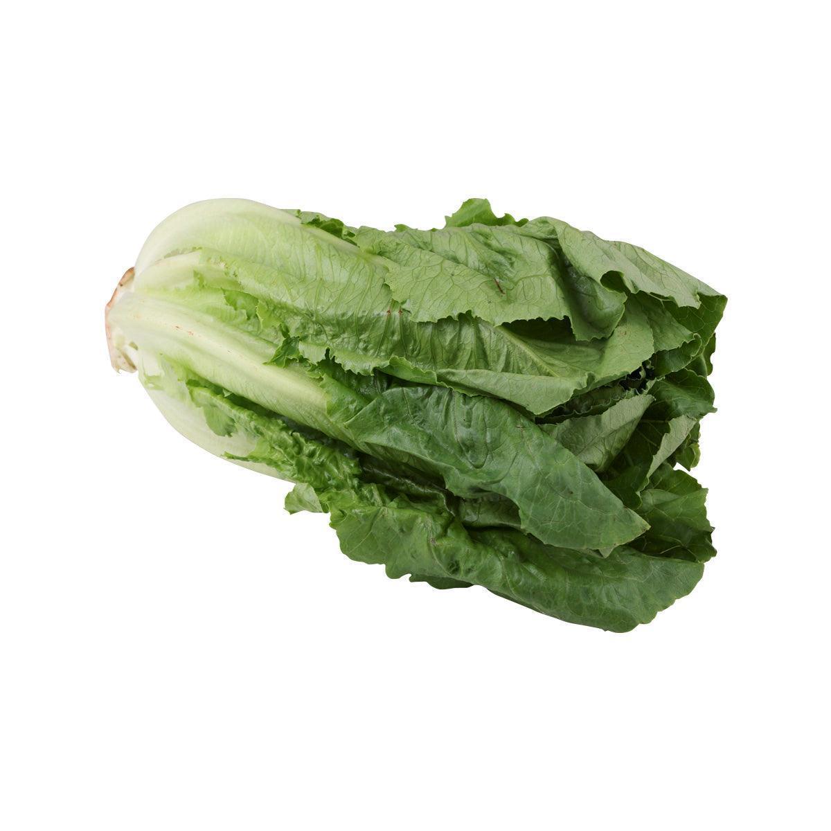 Japanese Romaine Lettuce  (600g)