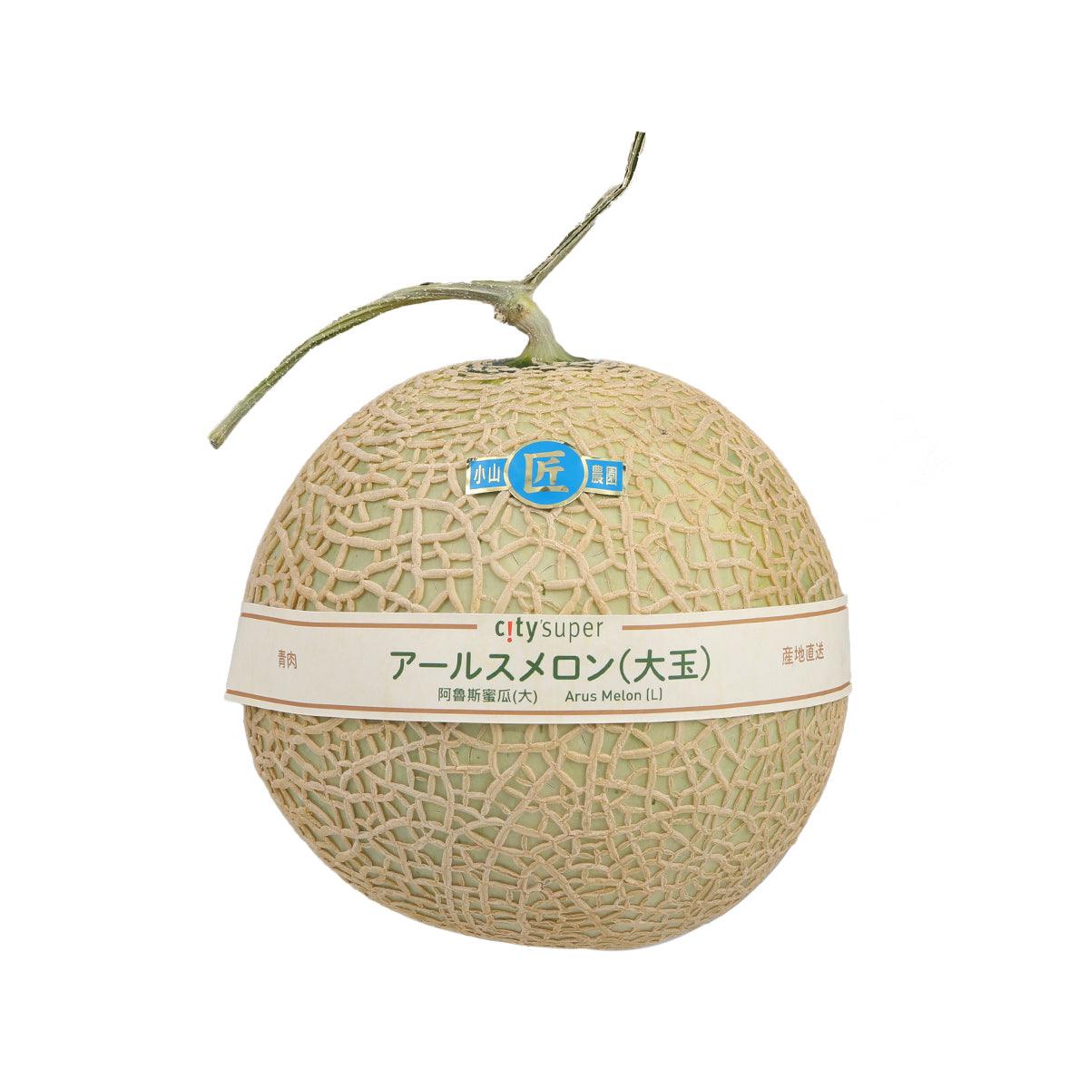 Japanese Arus Melon (Large)  (1pc)