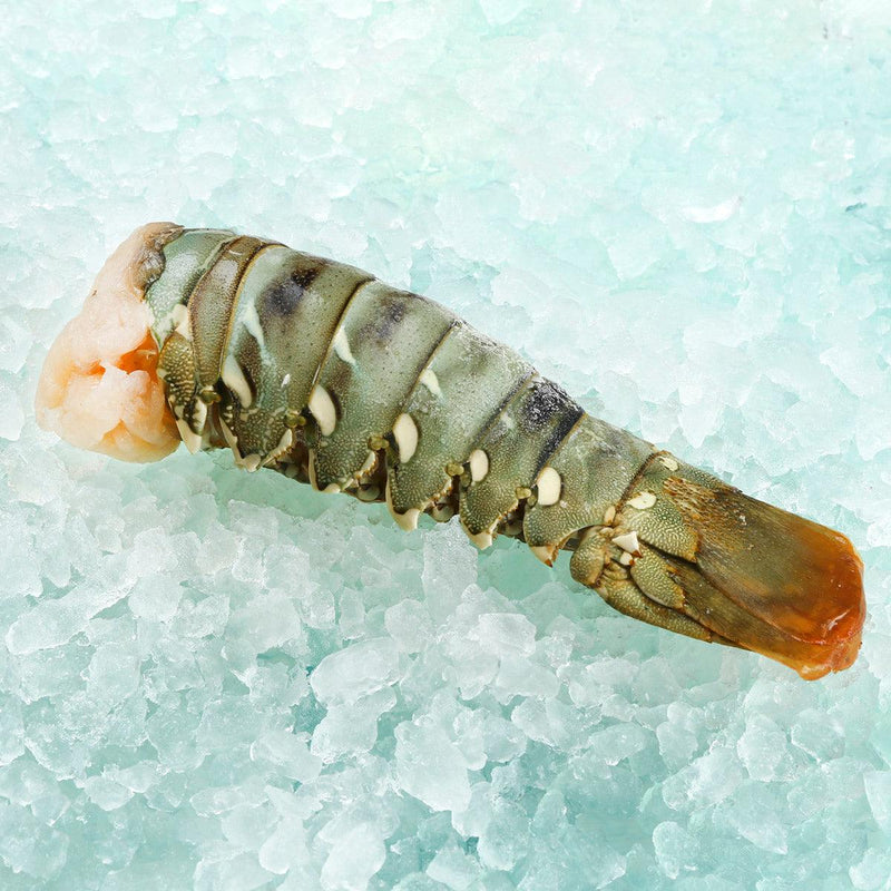 Australian Frozen Lobster Tail  (220g)