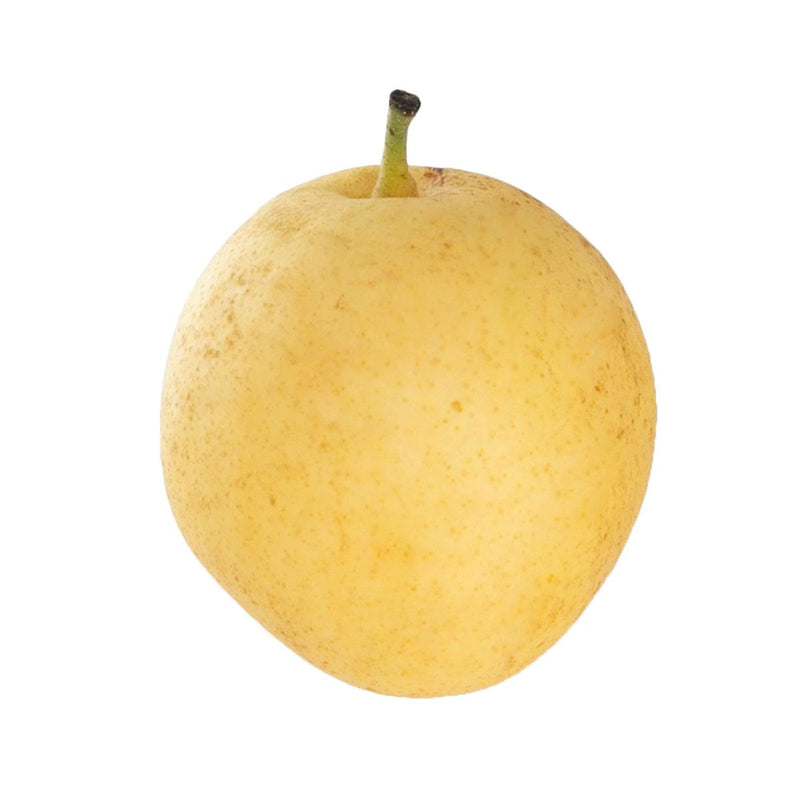 Australian Nashi Pear  (1pc)