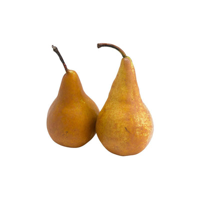 USA Bosc Pear  (1pack) - city'super E-Shop