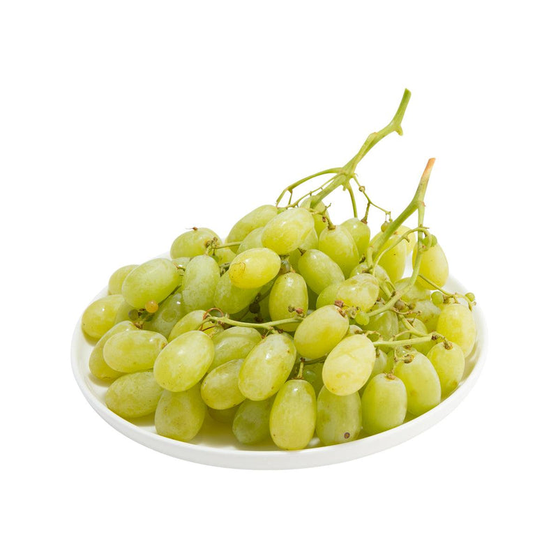 澳洲青提子 (無核)  (600g)