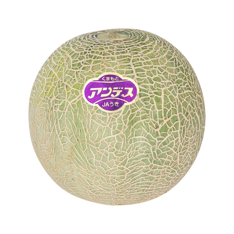Japanese Andes Melon  (1pc)