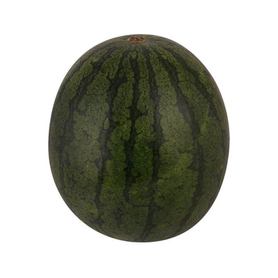 Fruit & Vegetable - Fruit Selection - Japanese Black Kodama Watermelon (Red Flesh)  (1pc)