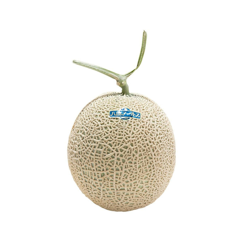 Japanese Arus Melon  (1pc)