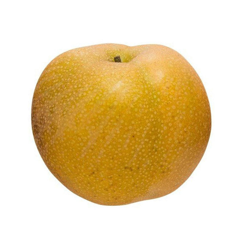 Japanese Housui Pear  (1pc)