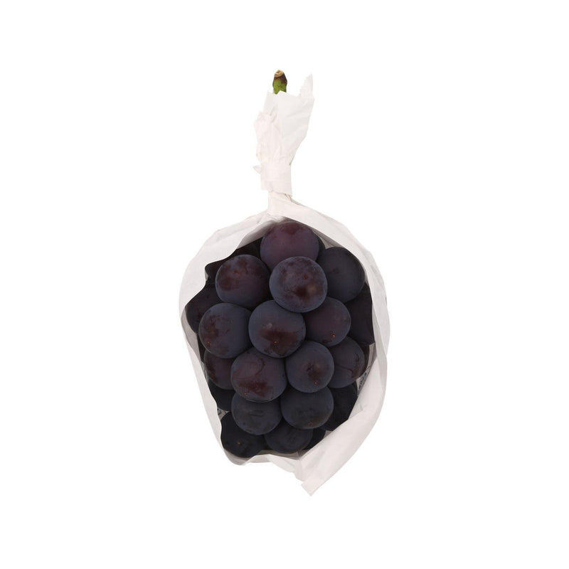 Japanese Pione Grape  (500g)