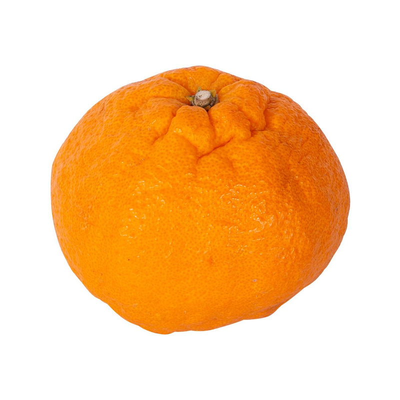 Japanese Dekopon Orange  (1pack)