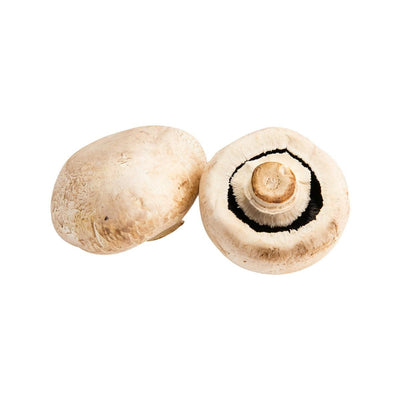 HK Vegetable Shop Selections - Fresh Mushroom - Dutch Giant White Mushroom  (200g)