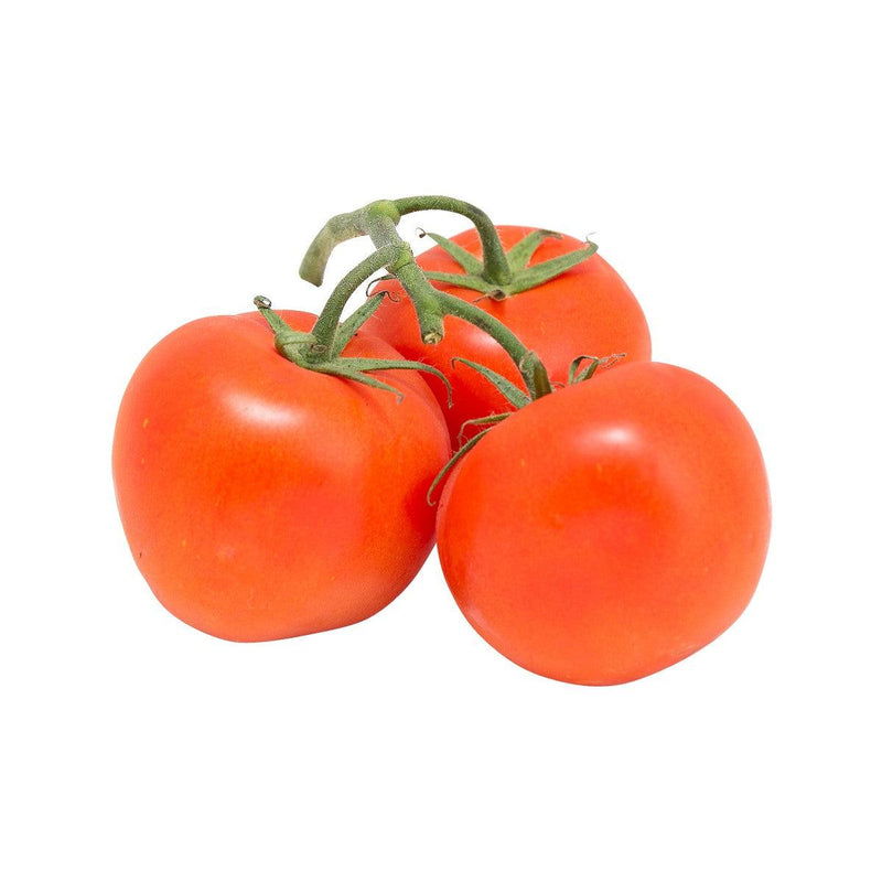 Dutch Red Tomato On Vine  (500g)