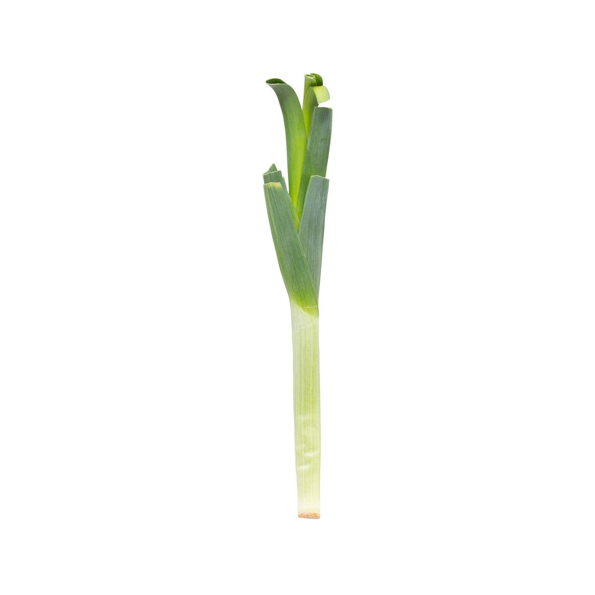 荷蘭韭蔥  (300g)
