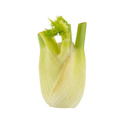 Italian Organic Fennel  (600g)