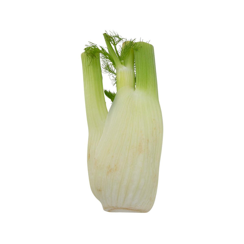 Dutch Fennel  (600g)