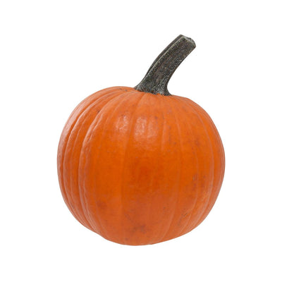 USA Pumpkin - Pamper'd  (1pc) - city'super E-Shop