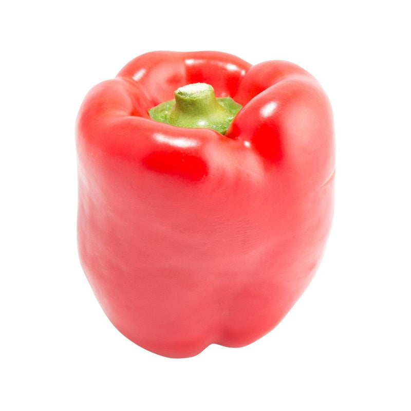 HK Vegetable Shop Selections - Fresh Bell Pepper & Eggplant - Dutch Red Bell Pepper  (230g)