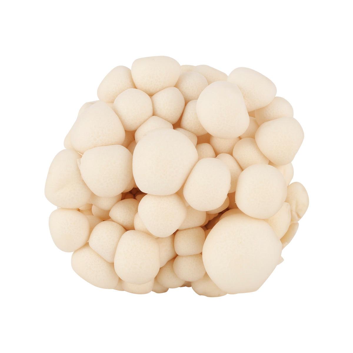 Japanese White Bunapi Shimeji Mushroom  (100g)