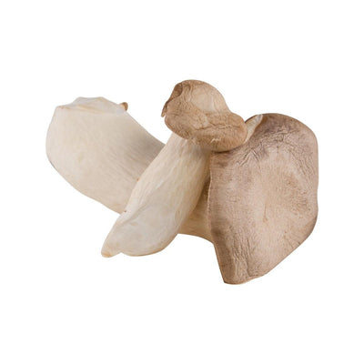 HK Vegetable Shop Selections - Fresh Mushroom - Japanese Eringi Mushroom  (1pack)