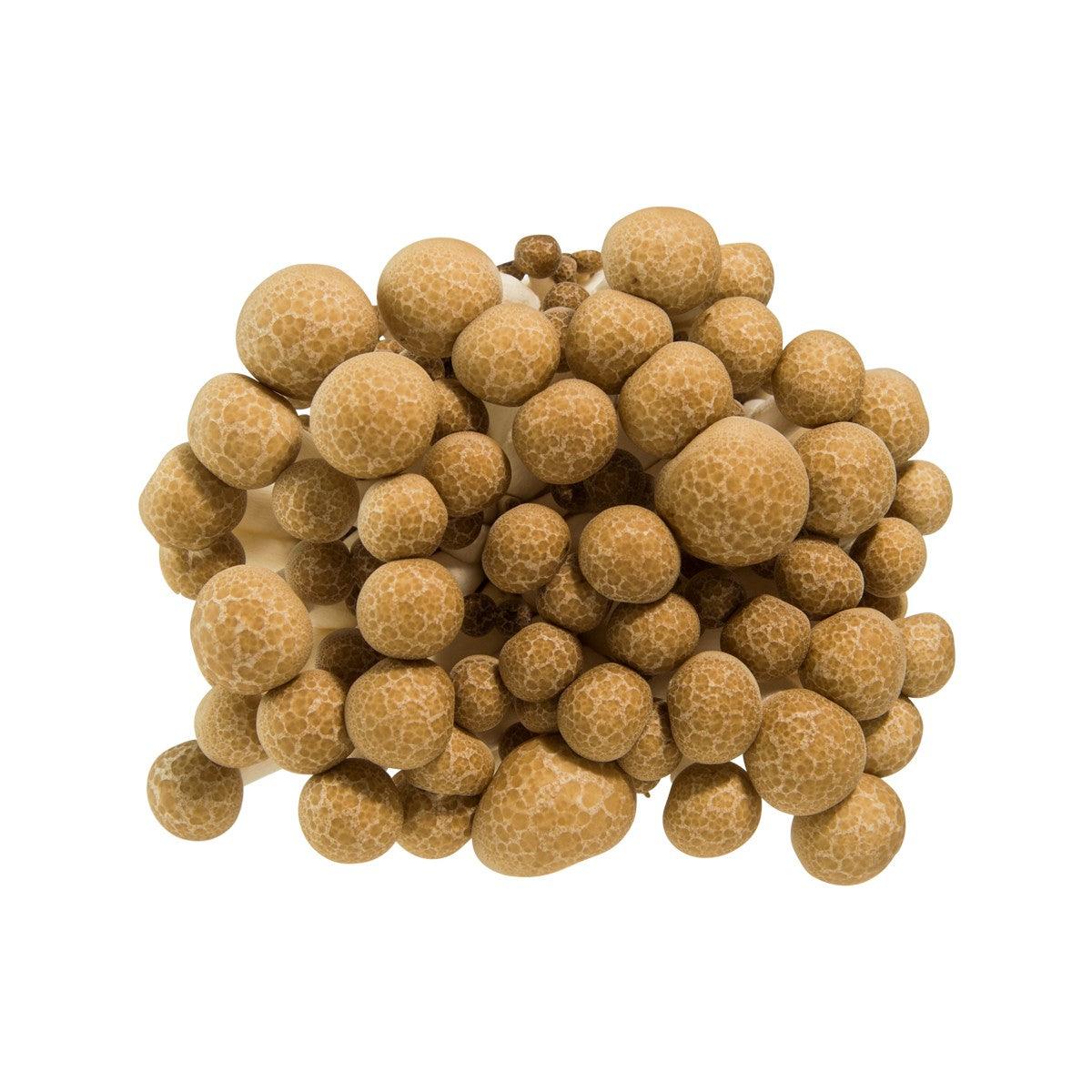 Japanese Buna Shimeji Mushroom  (100g)