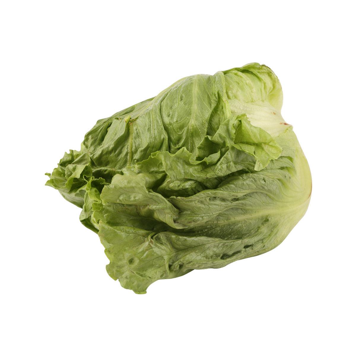 Japanese Lettuce  (600g)