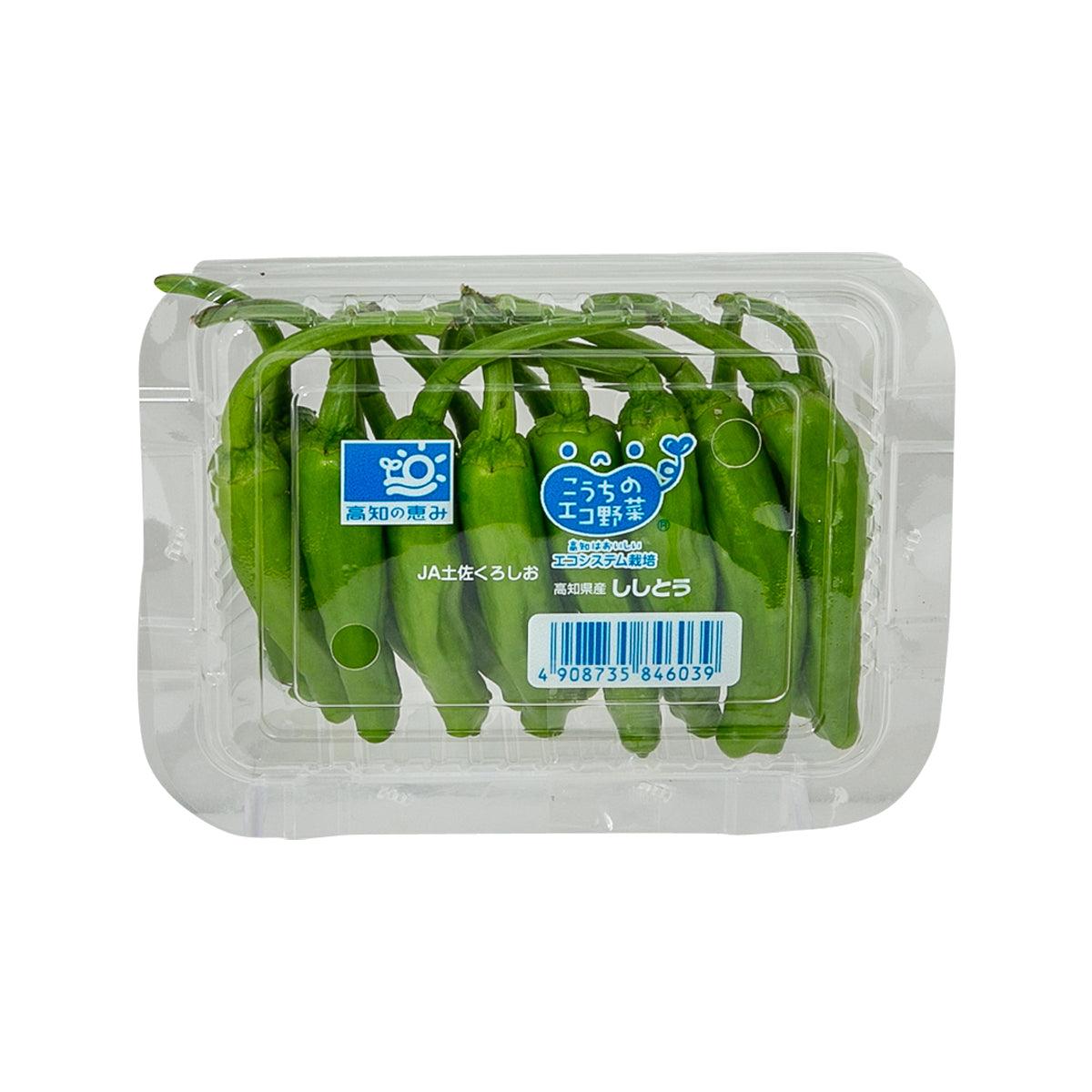 日本青尖椒  (1pack)