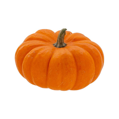 USA Pumpkin - Miniature Baby - city'super E-Shop