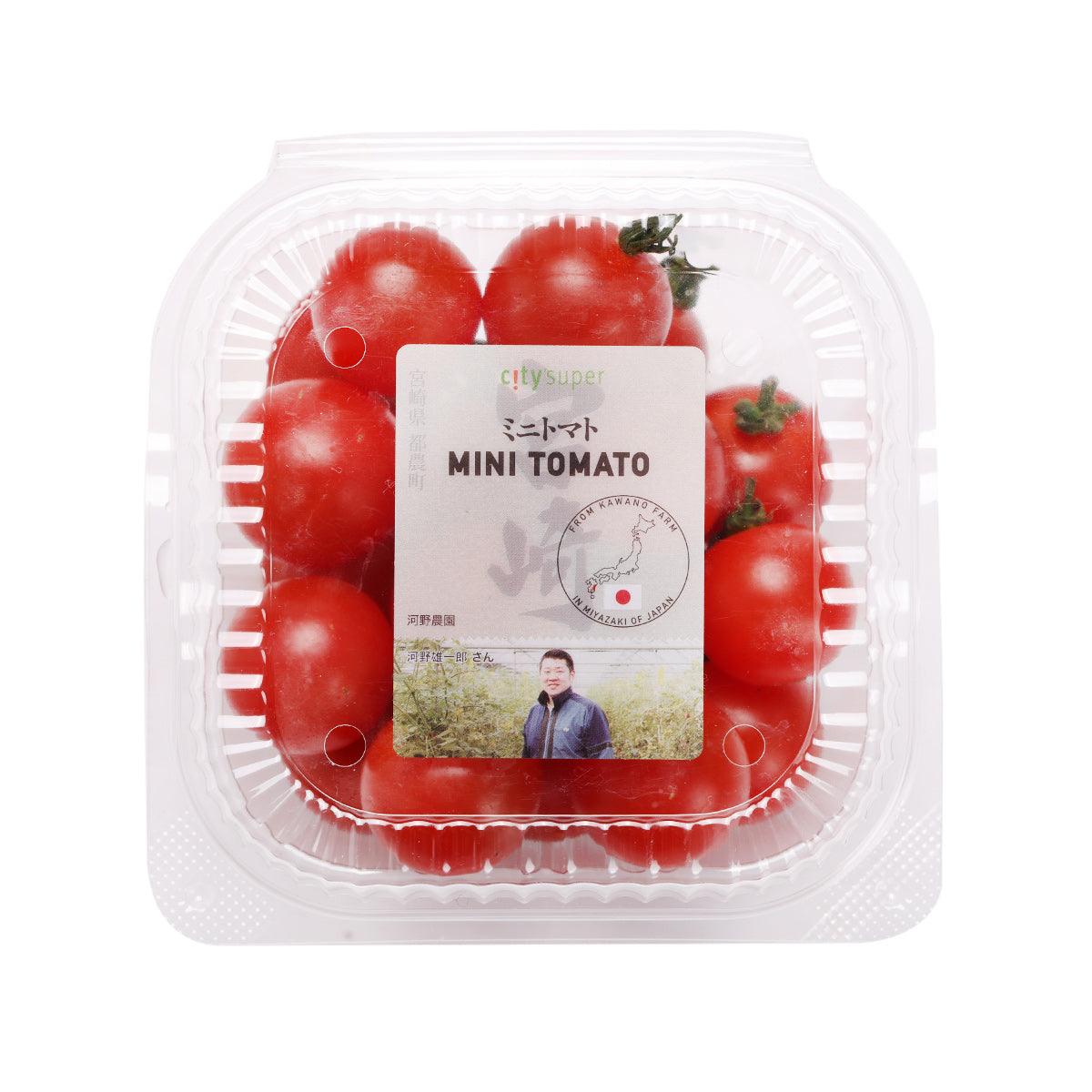 河野農園 日本紅車厘茄  (1pack)