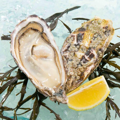 Seafood Hong Kong E-shop Selection - Fresh Oyster - GILLARDEAU French Gillardeau Oyster Nr.0 (1pc)