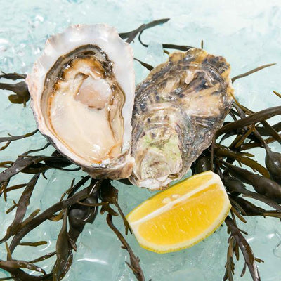 Seafood Hong Kong E-shop Selection - Fresh Oyster - Namibian Pacific Oyster  (1pc)