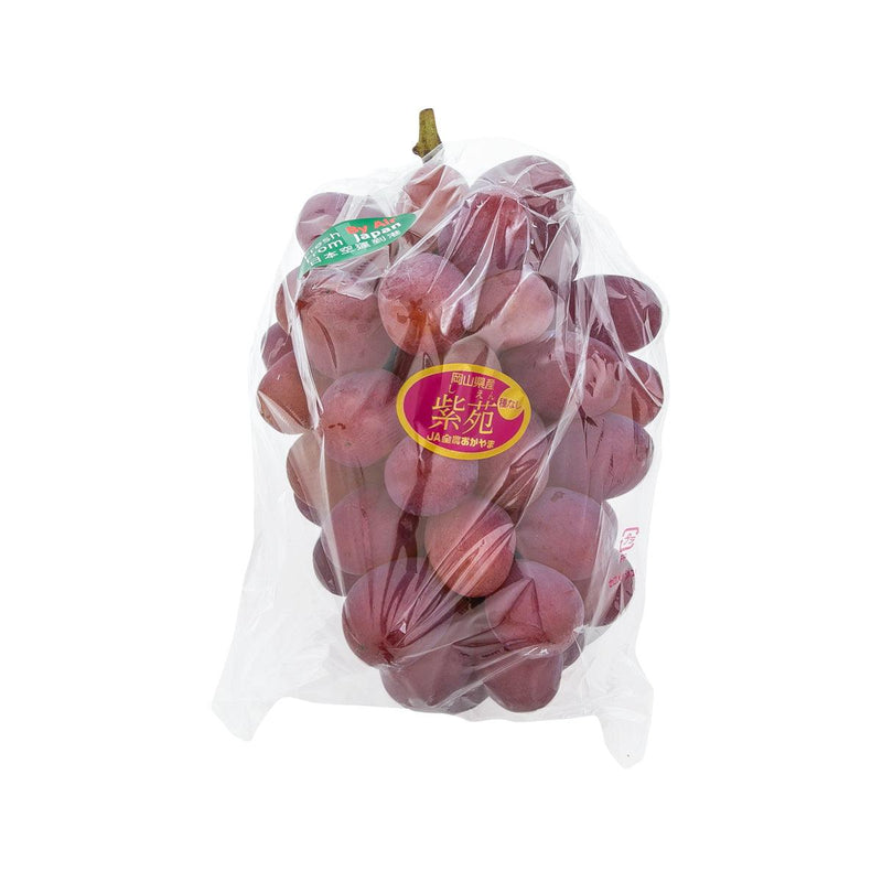 日本紫苑提子 (800g)