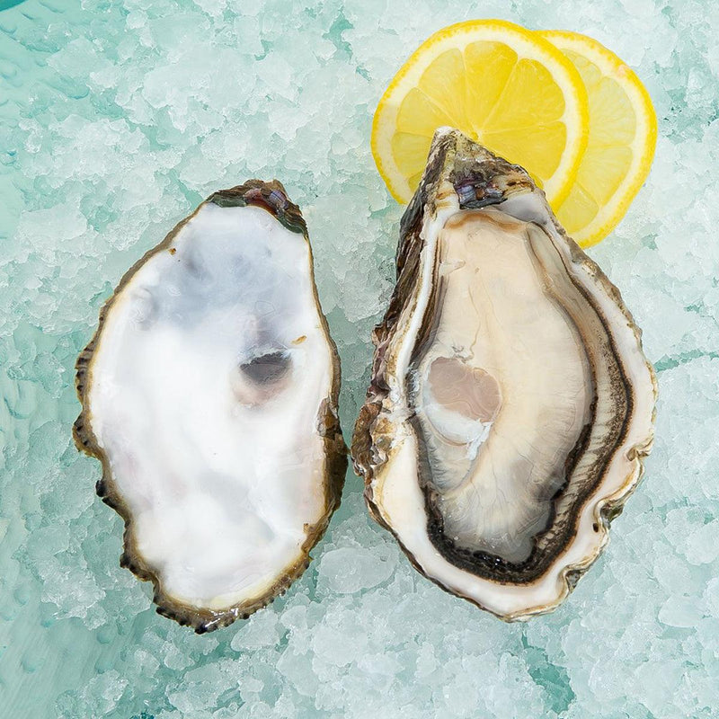 CITYSUPER French Special Oyster Nr.0  (1pc)