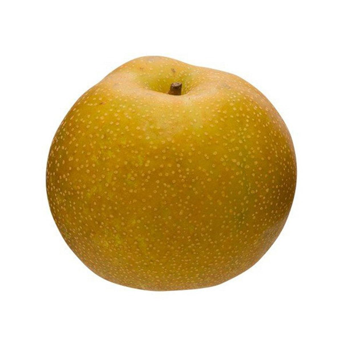 Japanese Kousui Pear  (1pc)