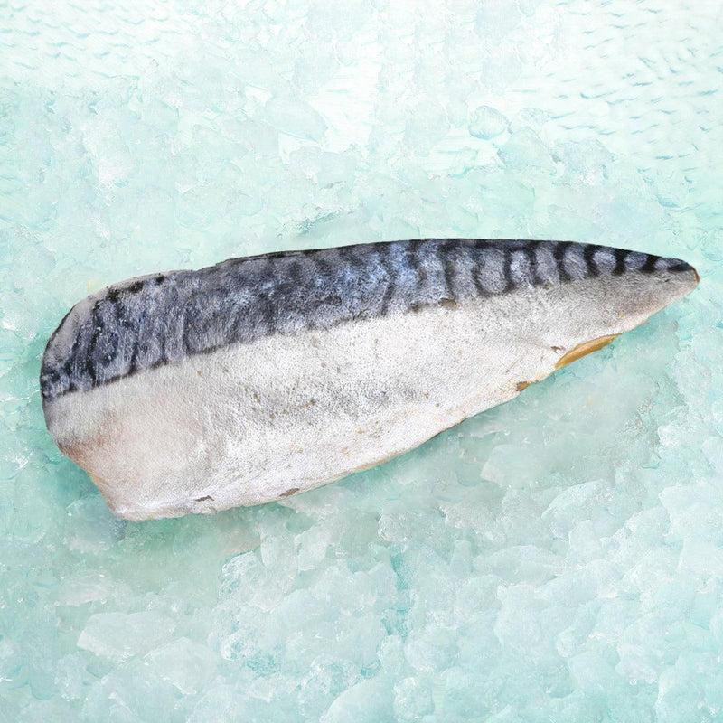 Norwegian Mackerel Fillet [Previously Frozen]  (1pc)