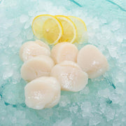 日本北海道帶子U15-煮食用[經解凍處理] (190g)