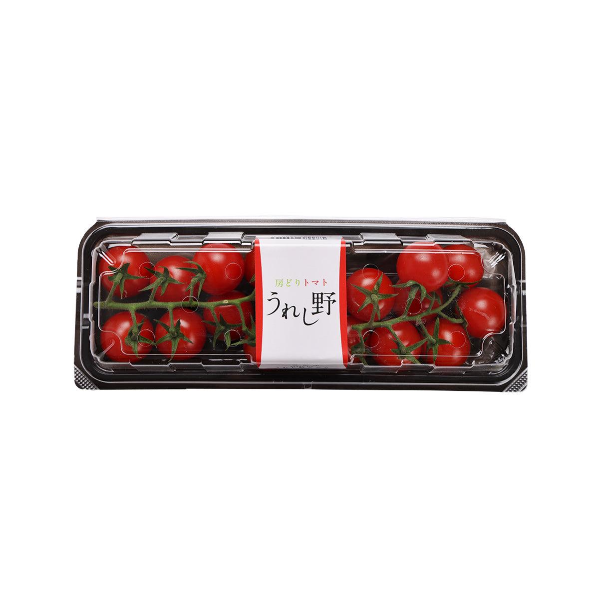 ASAI FARM Japan Mini Tomato On Vine