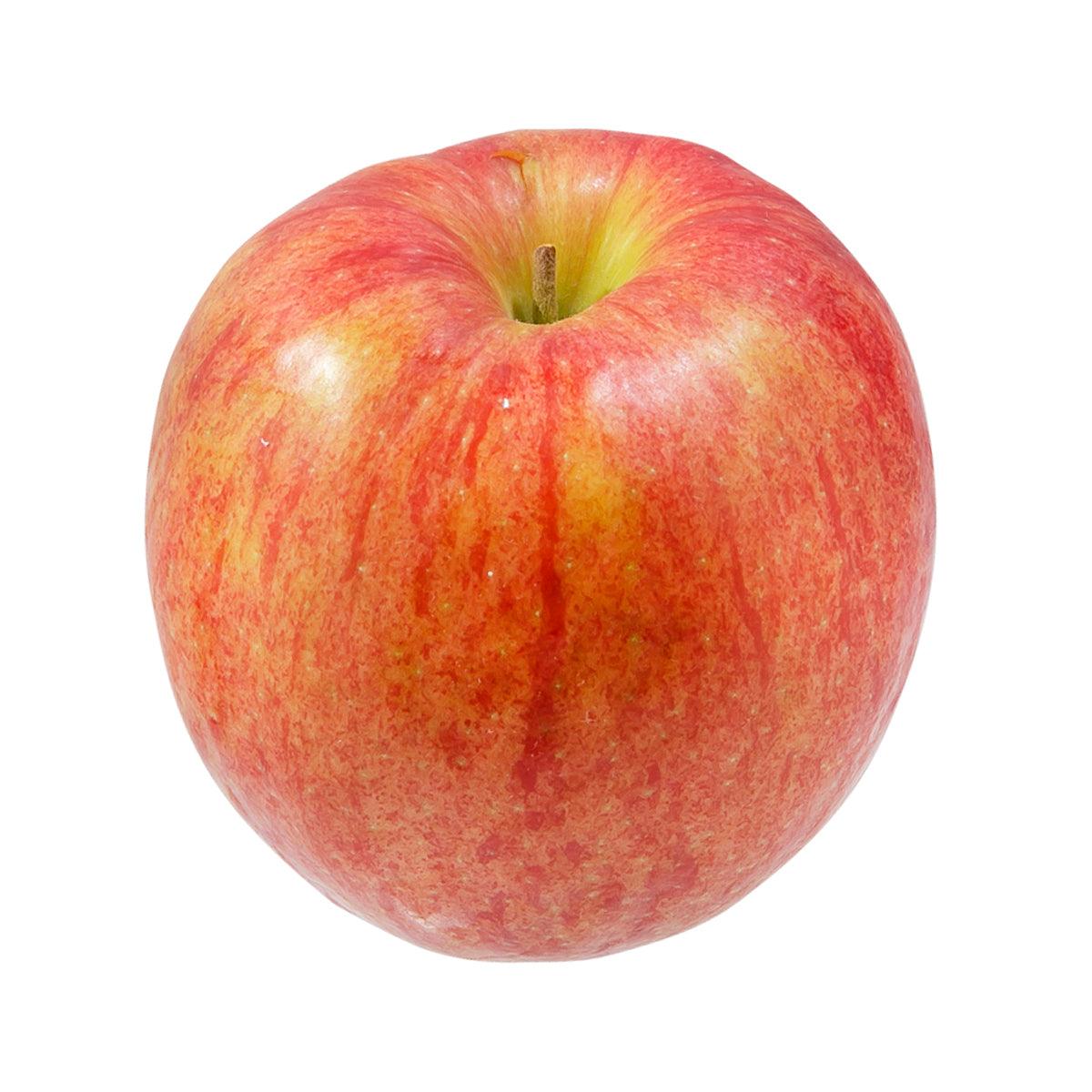 Japanese Jonagold Apple 28's  (1pc)