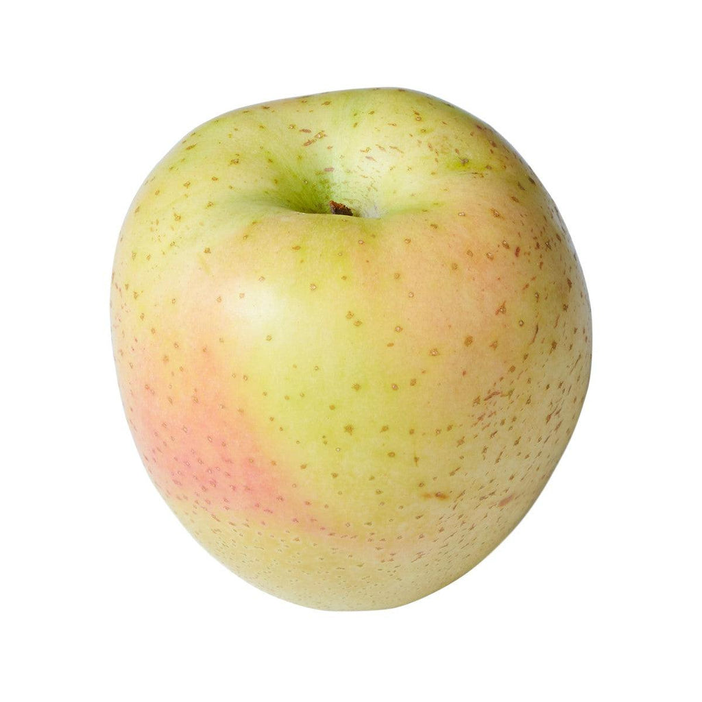 Japanese Ohrin Apple 28's (1pc) – city'super E-Shop