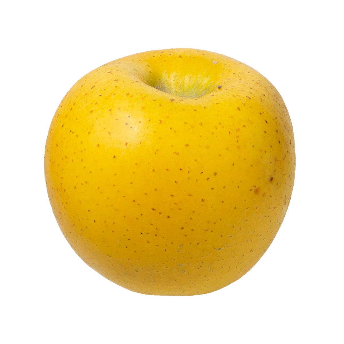 Japanese Shinano Gold Apple 28's  (1pc)