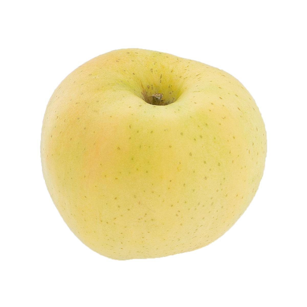 Japanese Kiou Apple 24's
