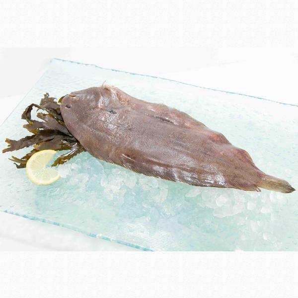 SOMACO French Chilled Wild Small Sole  (300g)