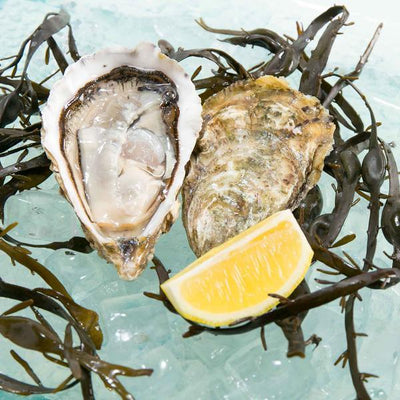 Seafood Hong Kong E-shop Selection - Fresh Oyster - - PERLE BLANCHE French White Pearl Oyster Nr.1 (1pc)
