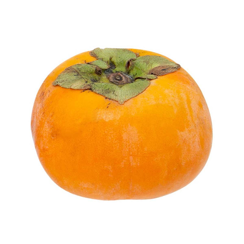 Japanese Jiro Persimmon