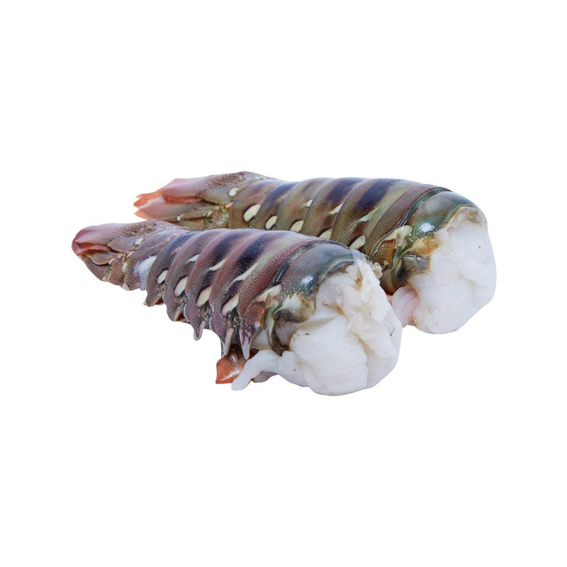 Australia Lobster Tail [Previously Frozen]  (300g)