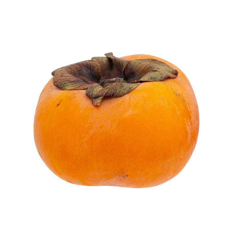 Japan Kumamoto Batten Persimmon